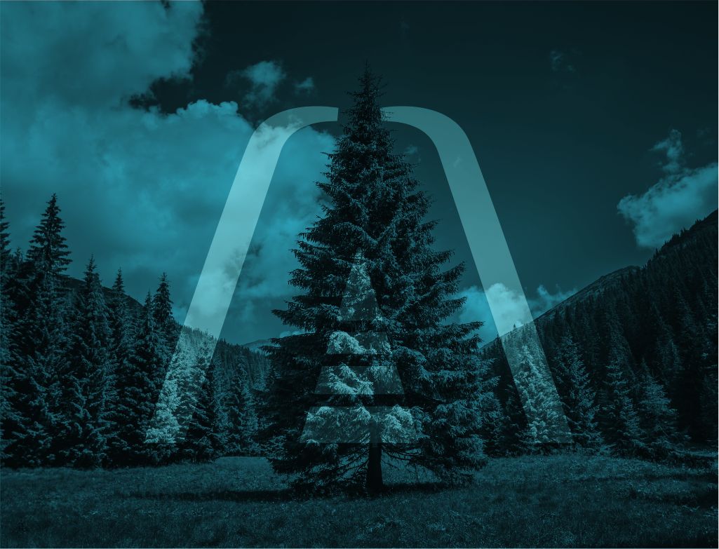 Ancosal cuidamos el medio ambiente